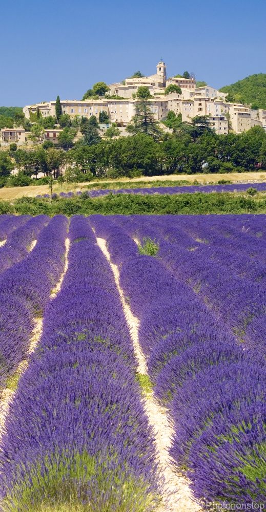 La Provence : un repère de parcs régionaux !