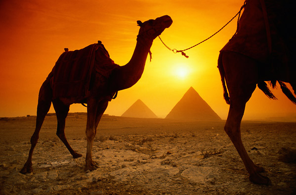 Visiter l’Egypte, pays des Pharaons