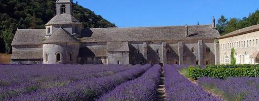 Le sud de la France : une valeur sûre