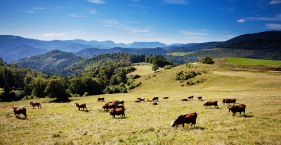 montagnes-vosges