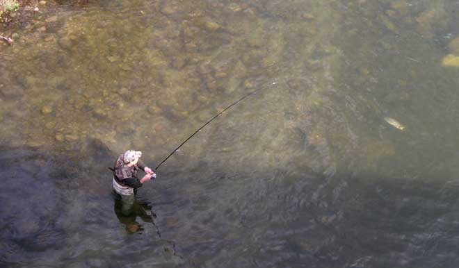 La pêche au toc : une idée d’activité nature pour vos vacances !