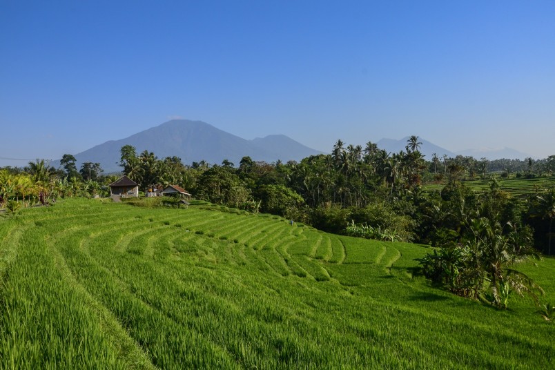 trek bali