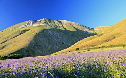 castellucio di norcia