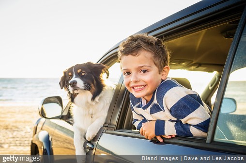 Partir en vacances avec son chat ou son chien : comment s’y préparer ?