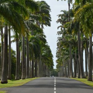 Où aller en Guadeloupe ?